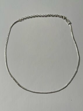 Regal Rose Silver Women’s Snake Chain Necklace - Silver